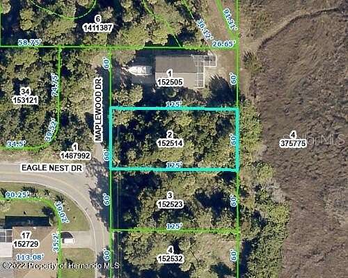 0.17 Acres of Residential Land for Sale in Hernando Beach, Florida