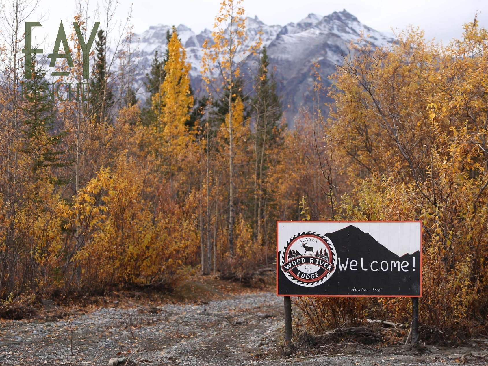 20 Acres of Recreational Land for Sale in Denali, Alaska
