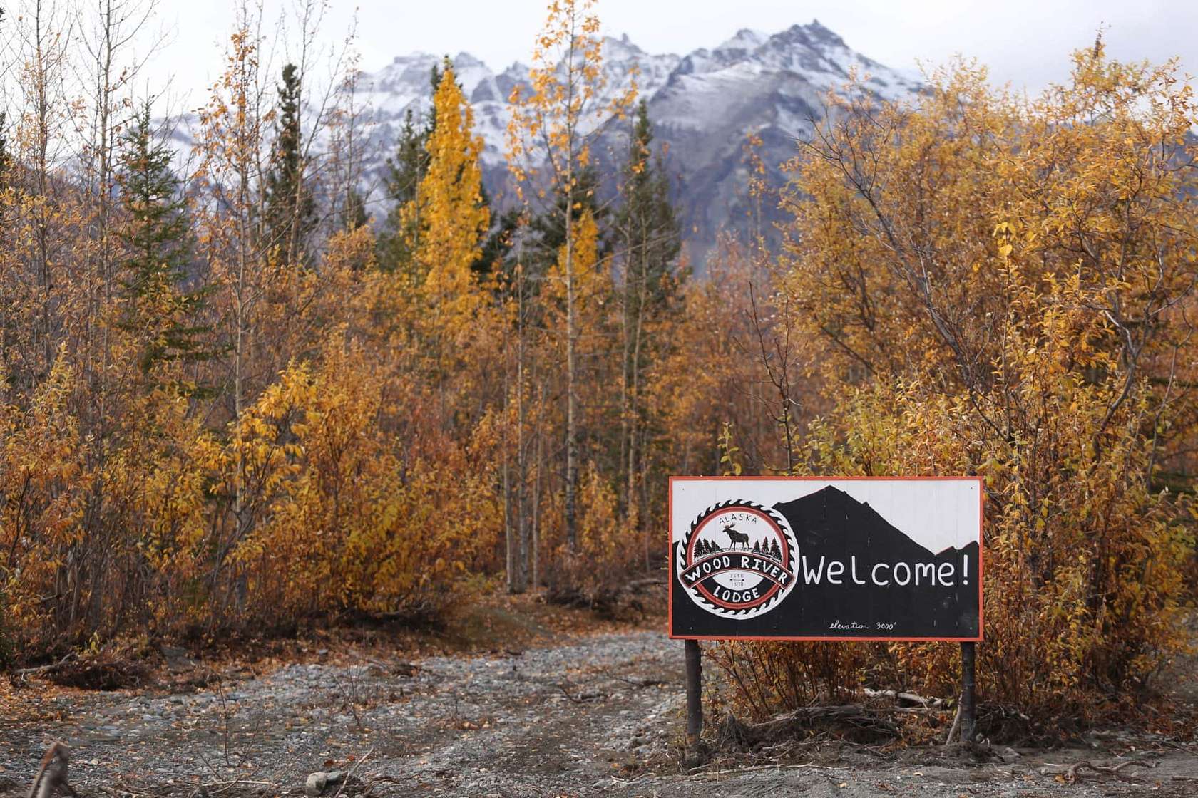 20 Acres of Recreational Land for Sale in Denali, Alaska