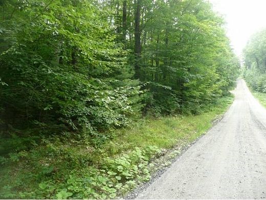 5.7 Acres of Land for Sale in Newport, New Hampshire