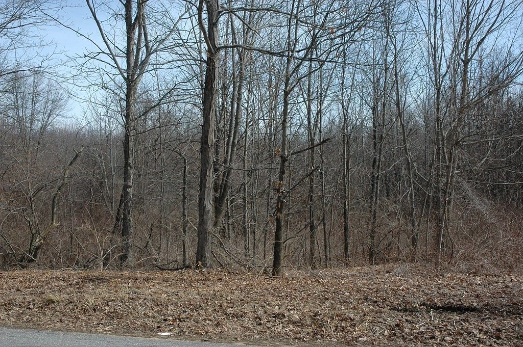 56.4 Acres of Land for Sale in North Brookfield, Massachusetts