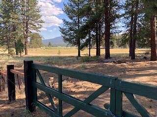 9.5 Acres of Residential Land for Sale in Chiloquin, Oregon