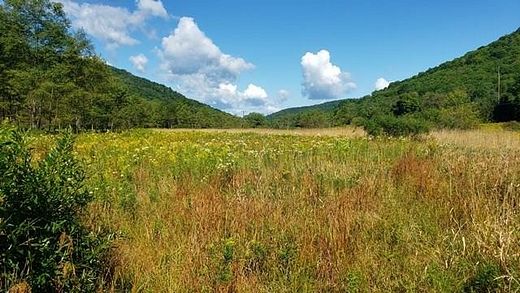 49.4 Acres of Recreational Land for Sale in Coudersport, Pennsylvania