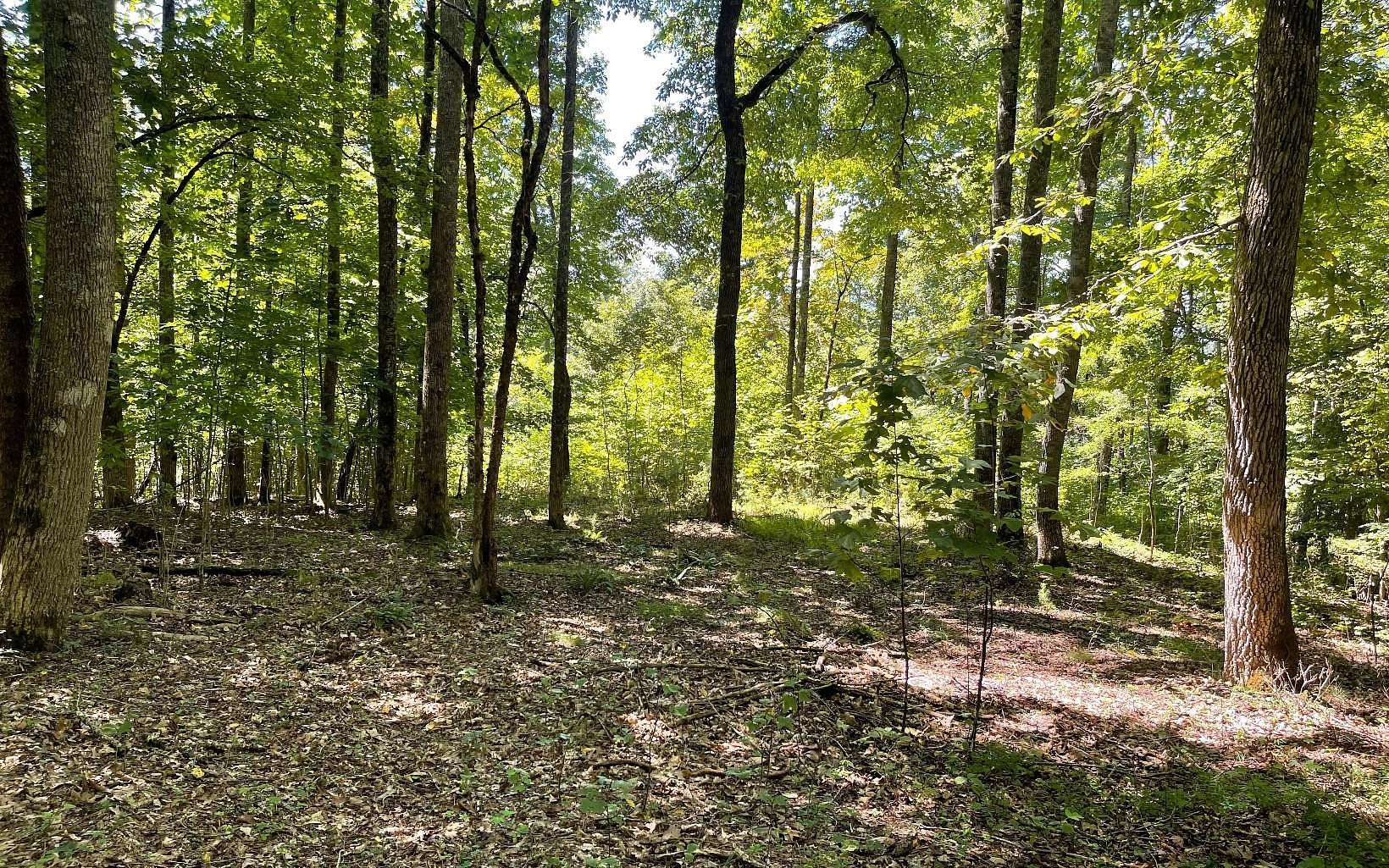 0.88 Acres of Residential Land for Sale in Hayesville, North Carolina