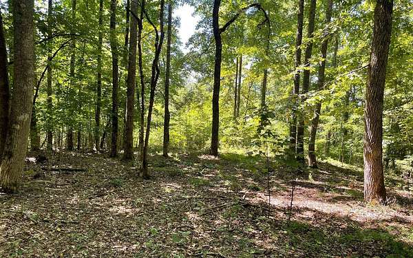 0.88 Acres of Residential Land for Sale in Hayesville, North Carolina