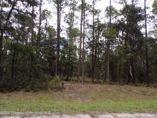 0.69 Acres of Residential Land for Sale in Citrus Springs, Florida