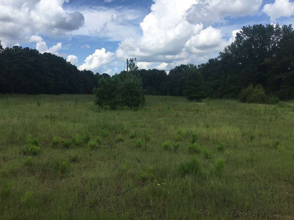 4.8 Acres of Commercial Land for Sale in Brookhaven, Mississippi