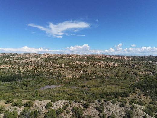 40 Acres of Land for Sale in Las Placitas, New Mexico
