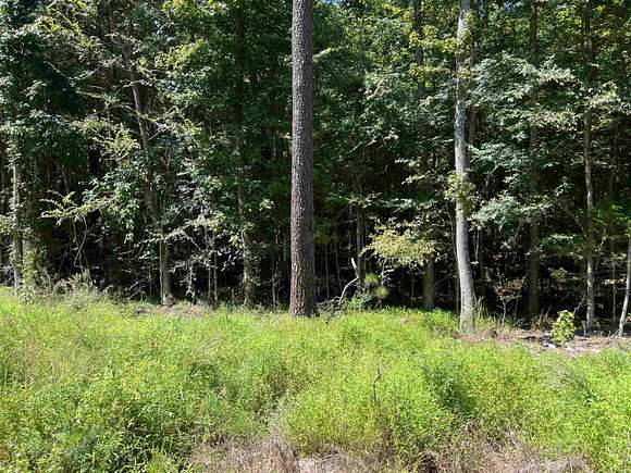 0.49 Acres of Land for Sale in Henderson, North Carolina
