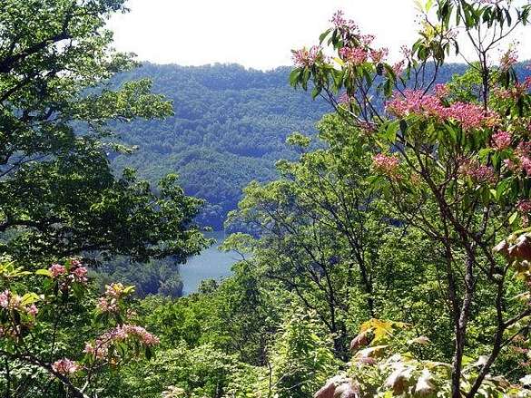 1.6 Acres of Residential Land for Sale in Bryson City, North Carolina