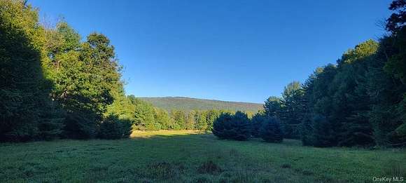 39.8 Acres of Recreational Land for Sale in Wurtsboro, New York