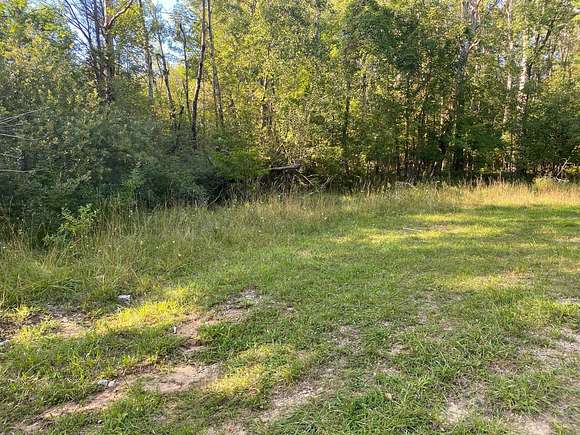 0.5 Acres of Residential Land for Sale in Evart, Michigan