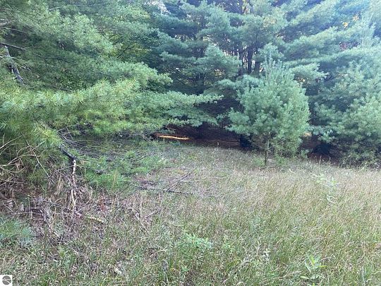 Land For Sale Evart Mi