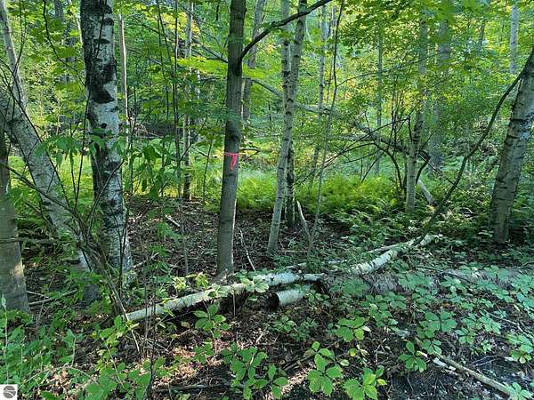 0.92 Acres of Residential Land for Sale in Evart, Michigan
