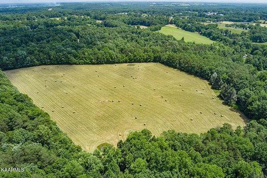 15 Acres of Land for Sale in Grimsley, Tennessee