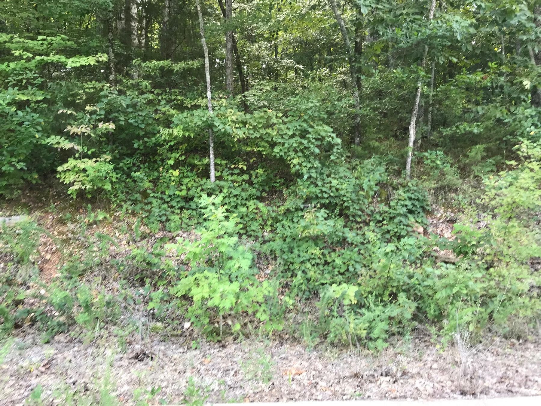 0.68 Acres of Residential Land for Sale in Hollister, Missouri