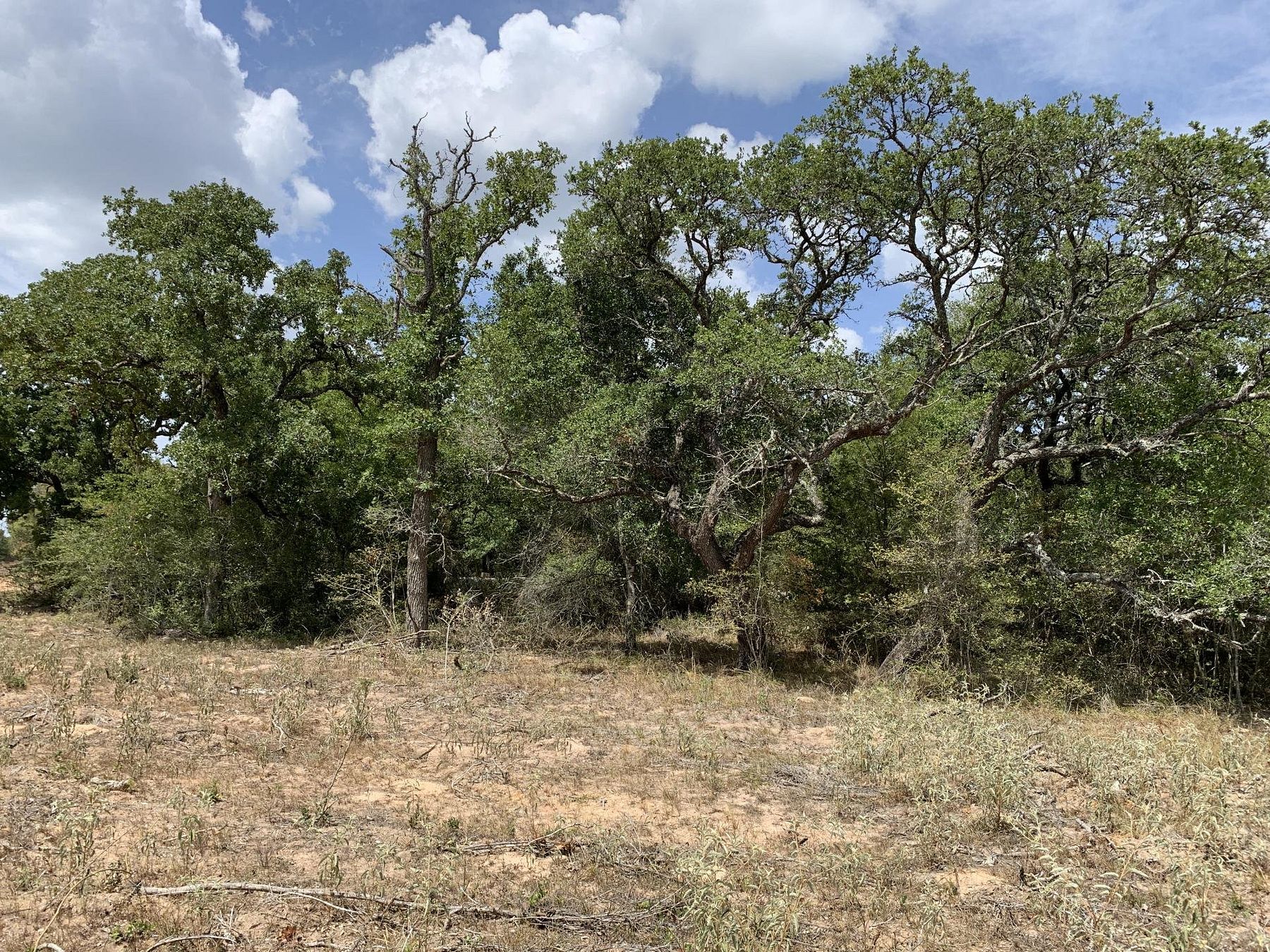 11 Acres of Recreational Land for Sale in Hallettsville, Texas LandSearch