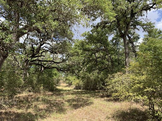 11 Acres of Recreational Land for Sale in Hallettsville, Texas