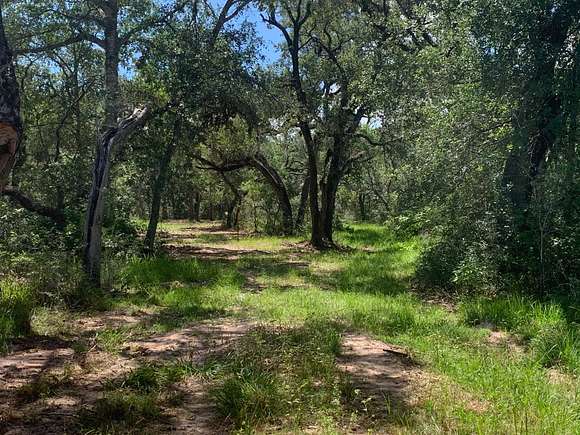 11 Acres of Recreational Land for Sale in Hallettsville, Texas