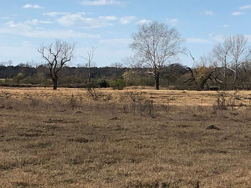 43.5 Acres of Land for Sale in Columbus, Texas