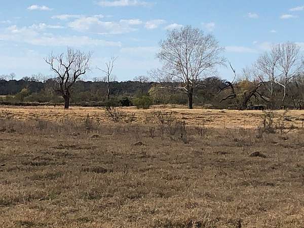 43.5 Acres of Land for Sale in Columbus, Texas