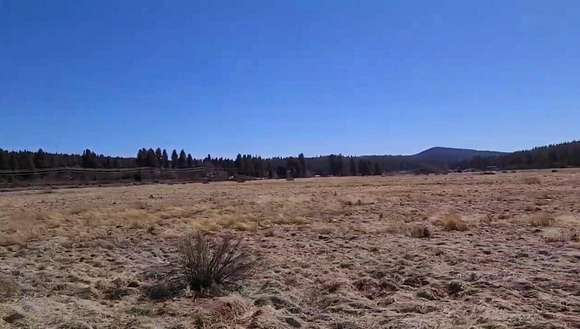 10 Acres of Recreational Land for Sale in Chiloquin, Oregon