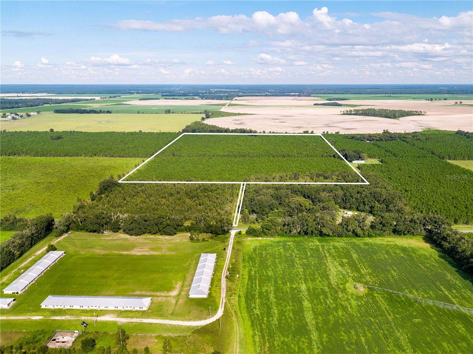 60 Acres of Agricultural Land for Sale in O'Brien, Florida