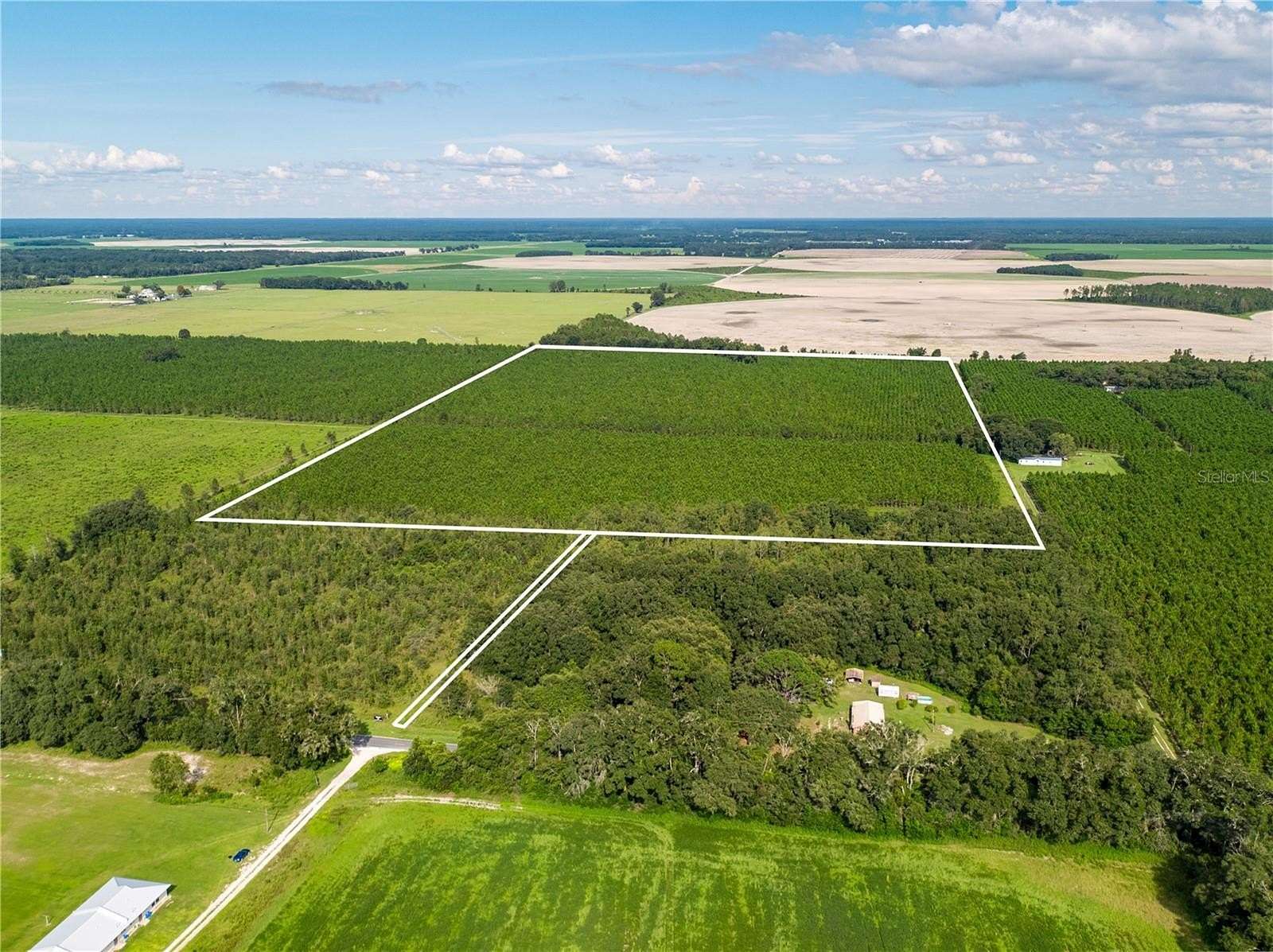 60 Acres of Agricultural Land for Sale in O'Brien, Florida