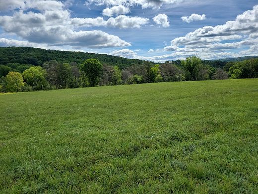 156 Acres of Recreational Land for Sale in Smyrna, New York