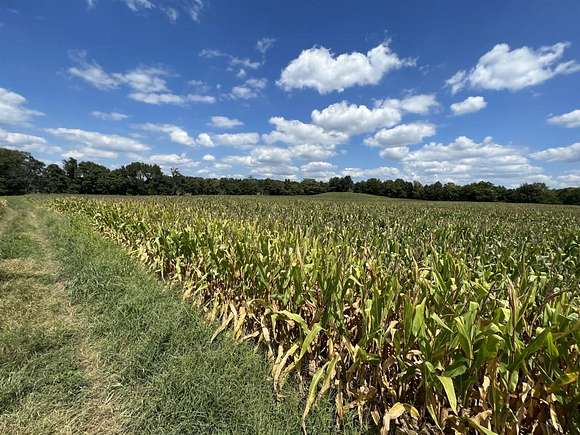 154 Acres of Agricultural Land for Sale in Scottsville, Kentucky