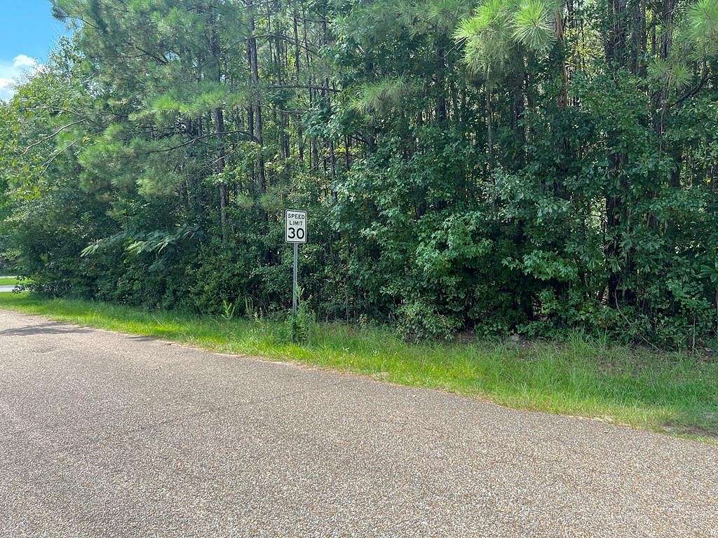 0.72 Acres of Residential Land for Sale in Waynesboro, Mississippi