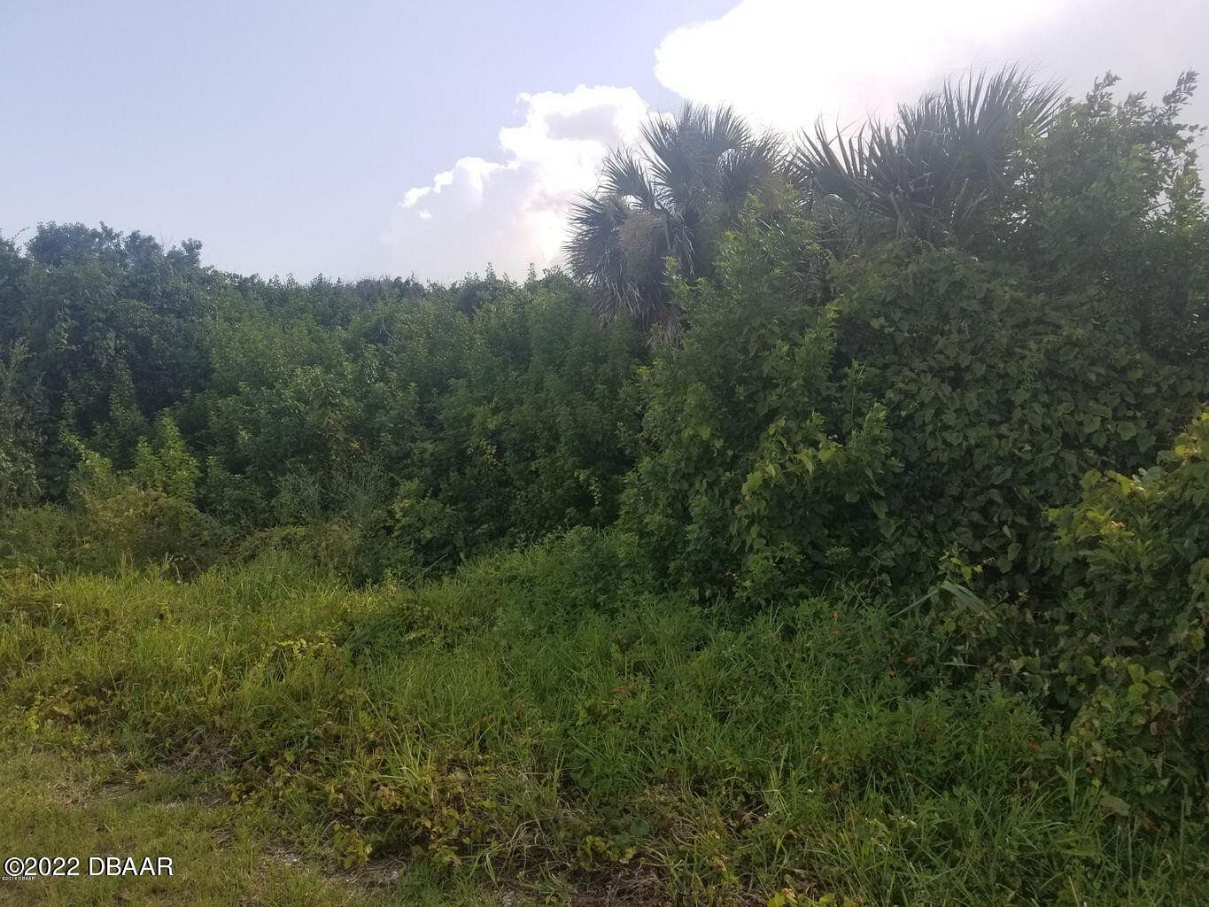 0.44 Acres of Residential Land for Sale in Ponce Inlet, Florida