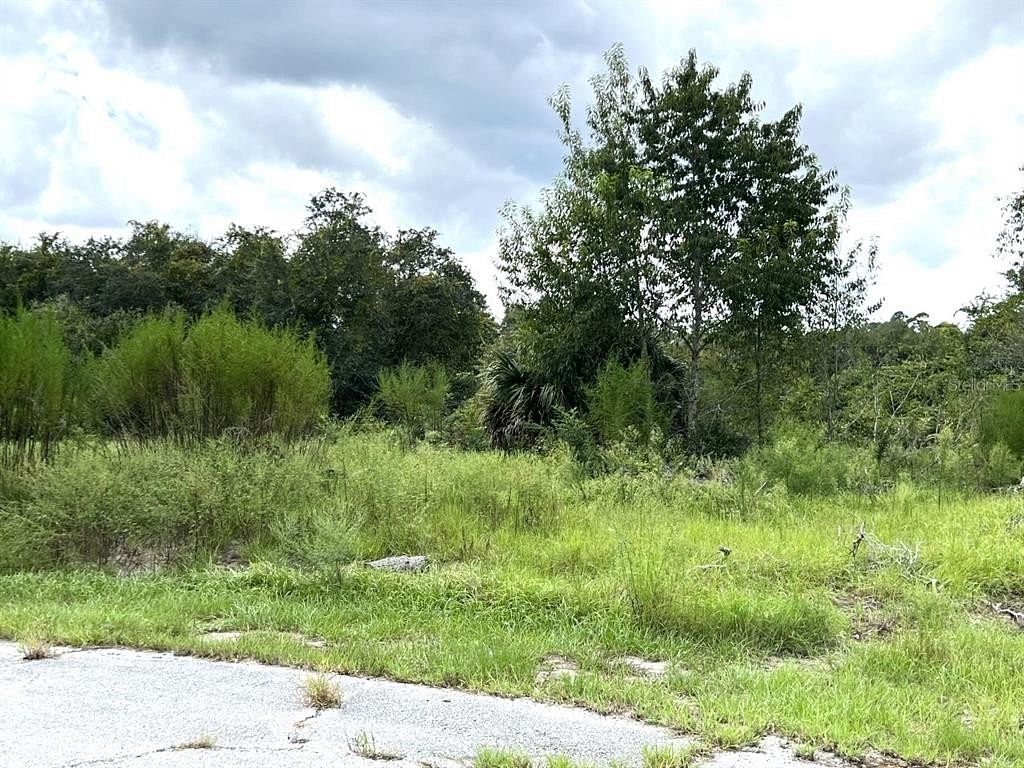 0.3 Acres of Residential Land for Sale in Poinciana, Florida