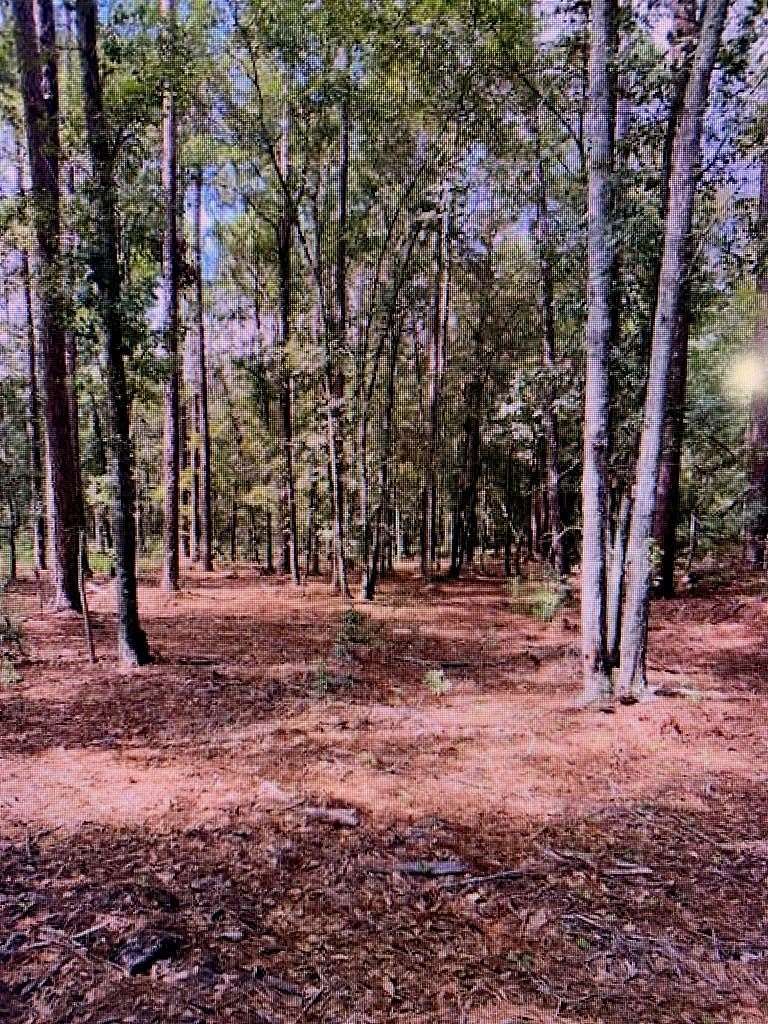 1.65 Acres of Residential Land for Sale in Hahira, Georgia