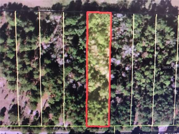1.15 Acres of Residential Land for Sale in Davenport, Florida