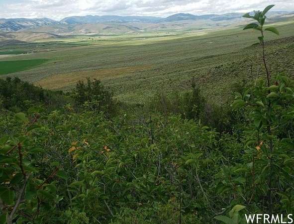 120 Acres of Land for Sale in Cokeville, Wyoming