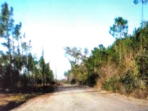 35.5 Acres of Recreational Land for Sale in Perry, Florida