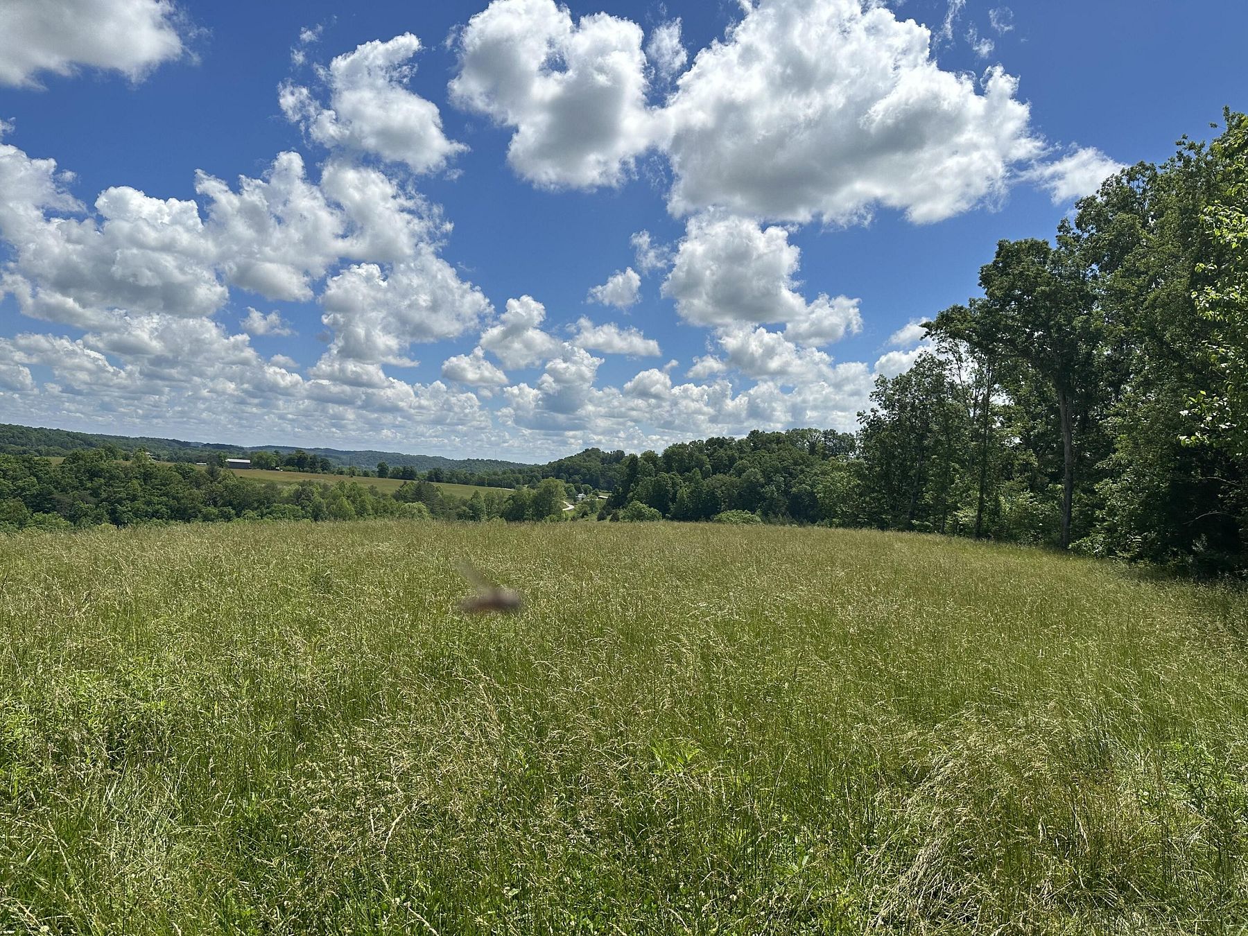12.7 Acres of Land for Sale in East Bernstadt, Kentucky