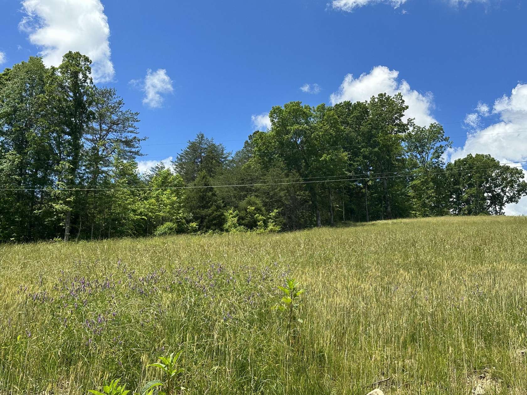 12.7 Acres of Land for Sale in East Bernstadt, Kentucky