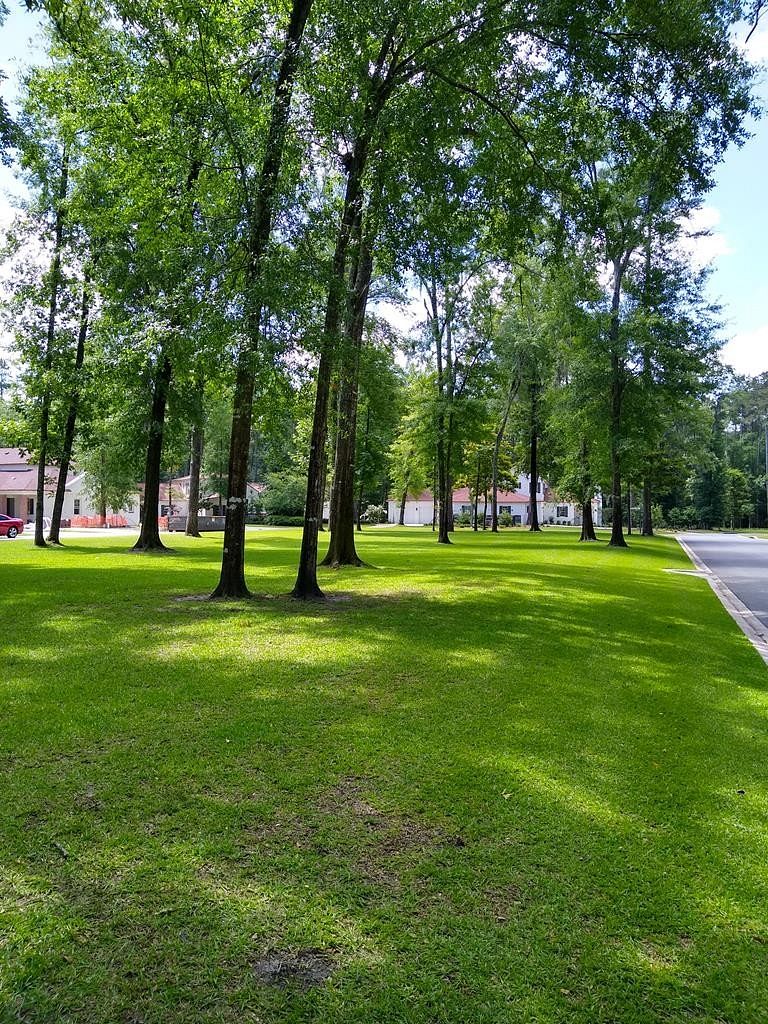 0.3 Acres of Residential Land for Sale in Thomasville, Georgia