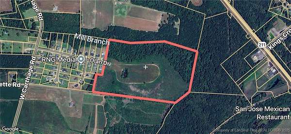 43.4 Acres of Recreational Land for Sale in Lumberton, North Carolina