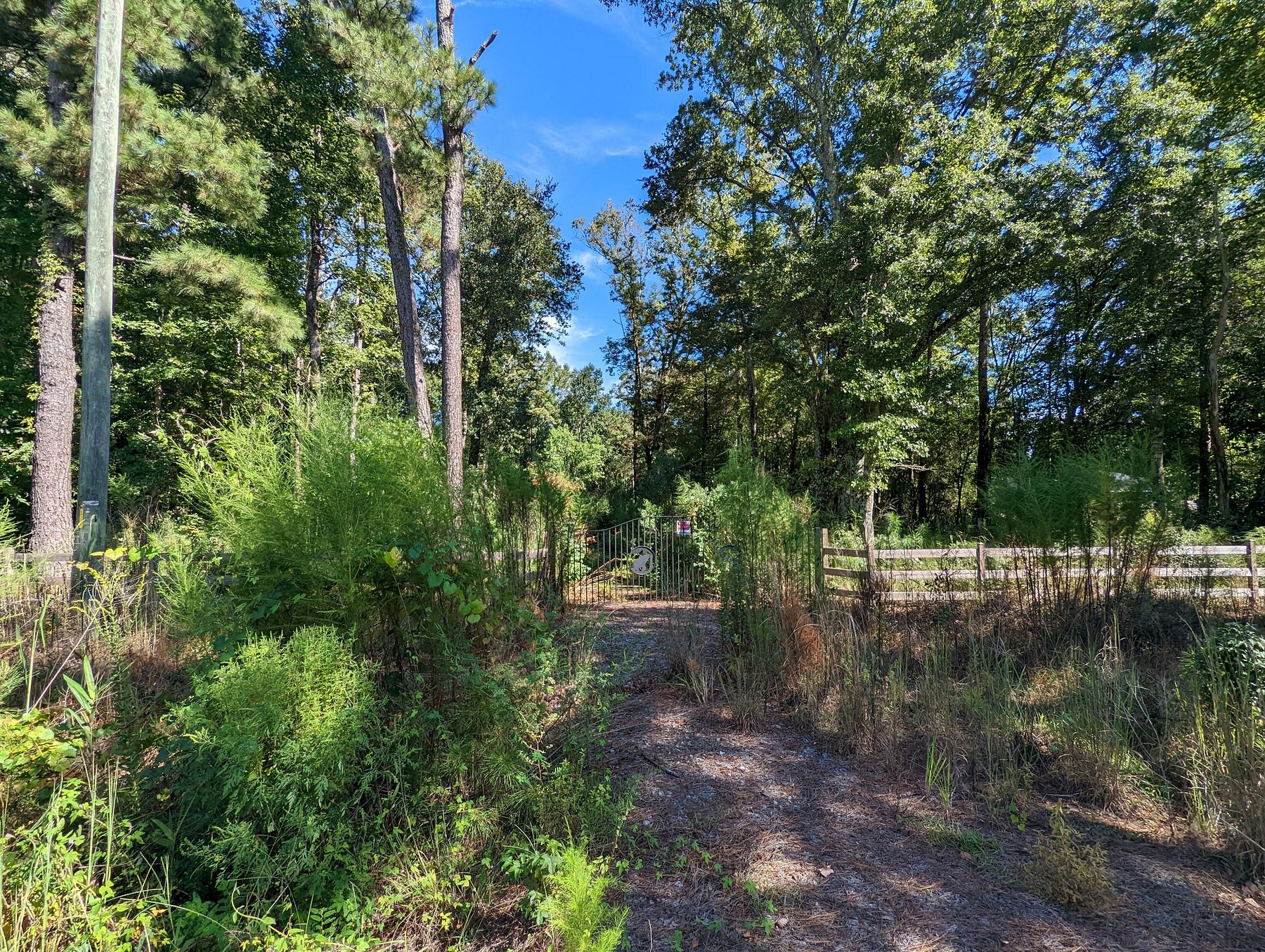 1.8 Acres of Residential Land for Sale in McClellanville, South Carolina