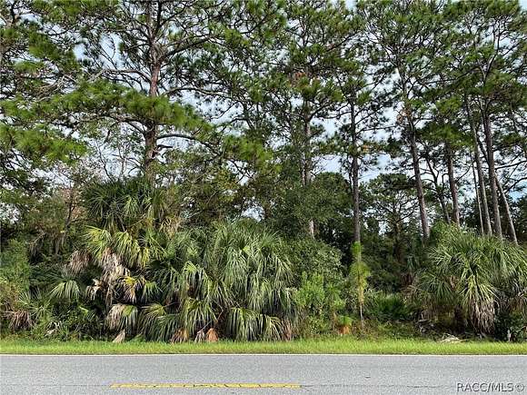 0.52 Acres of Mixed-Use Land for Sale in Homosassa, Florida