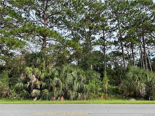 0.52 Acres of Mixed-Use Land for Sale in Homosassa, Florida