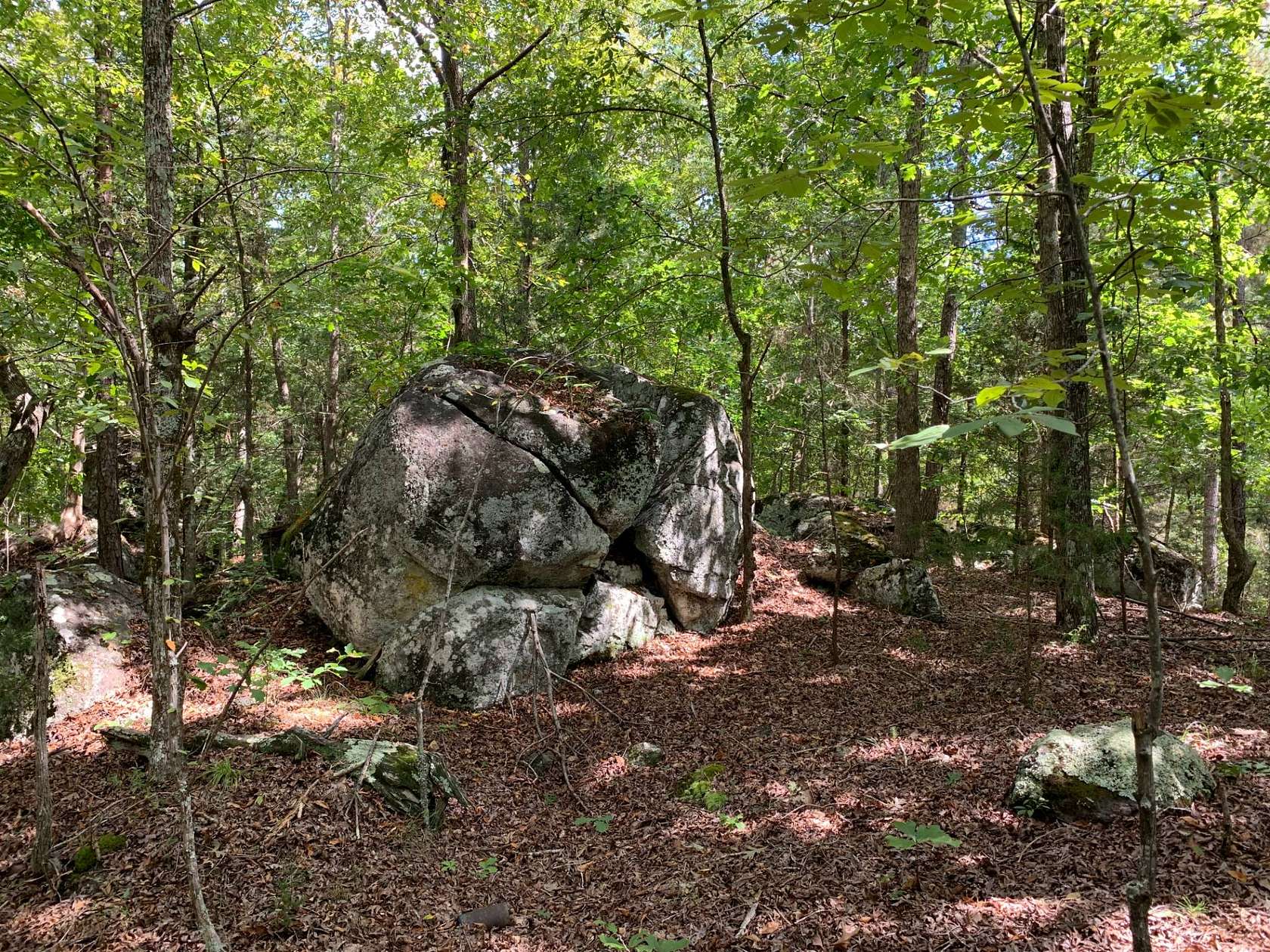 189 Acres of Agricultural Land for Sale in Abbeville, South Carolina