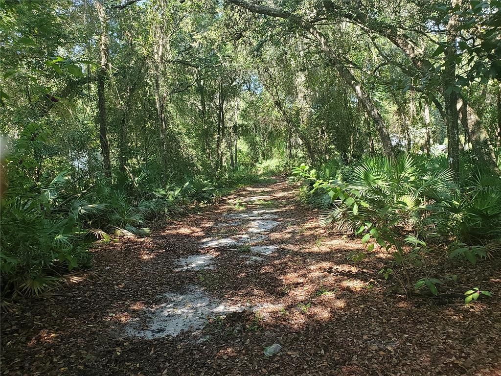 1 Acre of Residential Land for Sale in Leesburg, Florida