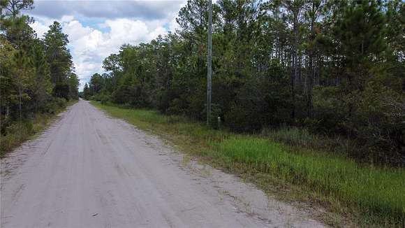 19.86 Acres of Land for Sale in Deltona, Florida