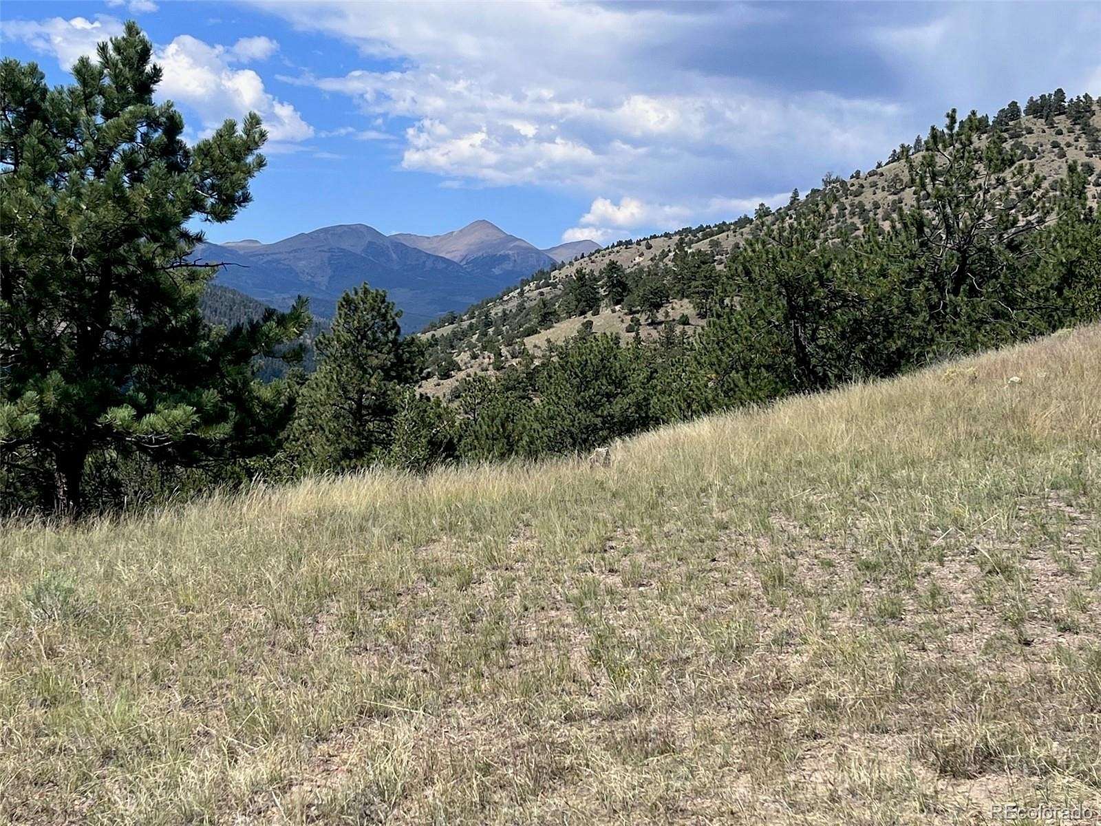 35 Acres of Recreational Land for Sale in Villa Grove, Colorado