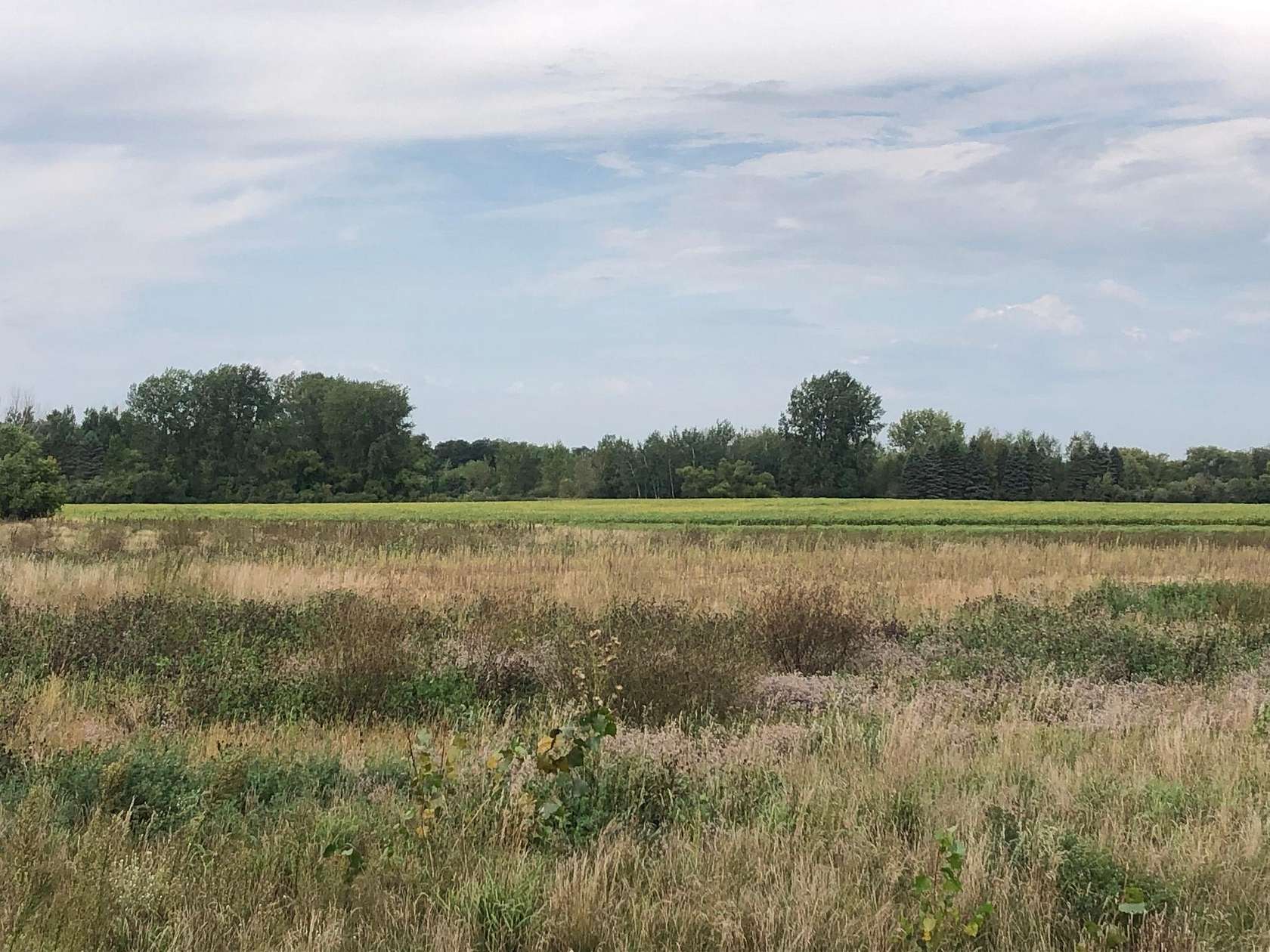 1.57 Acres of Residential Land for Sale in Sartell, Minnesota
