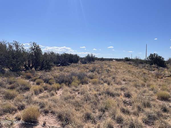 36.3 Acres of Mixed-Use Land for Sale in Snowflake, Arizona
